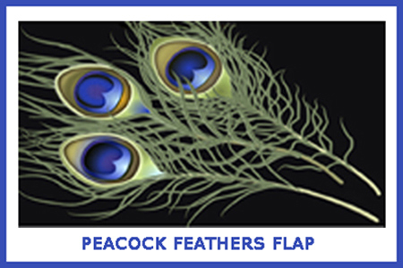 peacock feathers clutch